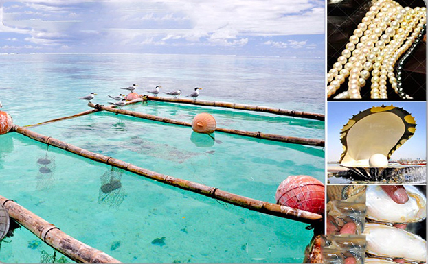 ngoc-trai-phu-quoc